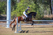 SREC SJ Spectacular 2026 60-9320.jpg