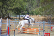 SREC SJ Spectacular 2026 70-0289.jpg