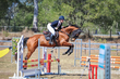 SREC SJ Spectacular 2026 70-9899.jpg