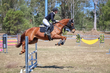 SREC SJ Spectacular 2026 80-0695.jpg