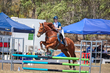 SREC SJ Spectacular 2026 80-0698.jpg