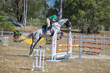 SREC SJ Spectacular 2026 90-1418.jpg