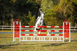 SREC SJ Spectacular Grand Prix JO-0707.jpg