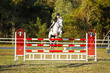 SREC SJ Spectacular Grand Prix JO-0708.jpg
