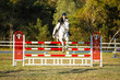 SREC SJ Spectacular Grand Prix JO-0709.jpg