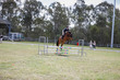 SREC SJ Spectacular September 7 2025 80-2015.jpg