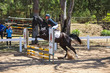 TEG 3DE 2025 SJ 65-4315.jpg