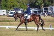 TEG 3DE 2026 Dresssage-3622.jpg