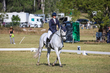 TEG 3DE 2026 Dresssage-3624.jpg