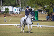 TEG 3DE 2026 Dresssage-3625.jpg