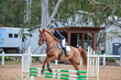 TEG 3DE 2026 SJ 65-2934.jpg