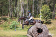 tEG 3DE 2025 4 STAR XC-2653.jpg
