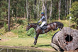 tEG 3DE 2025 4 STAR XC-2655.jpg