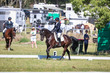 tEG 3DE 2025 Friday Dressage -1387.jpg