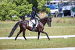 tEG 3DE 2025 Friday Dressage -1388.jpg