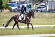 tEG 3DE 2025 Friday Dressage -1389.jpg