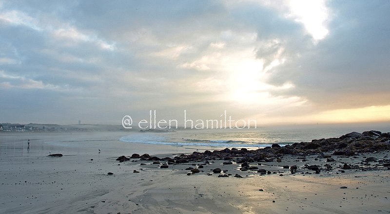 Early Morning Walk.jpg :: OLYMPUS DIGITAL CAMERA         