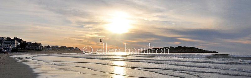 Good Harbor Sunrise.jpg