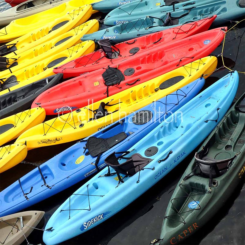 Rockport Kayaks.jpg