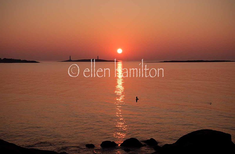 Sunrise on Long Beach.jpg