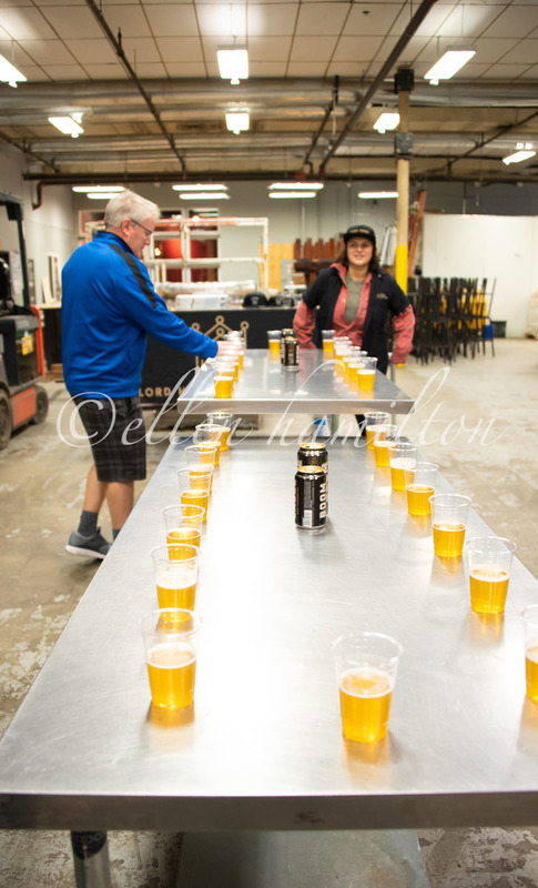 WHS Crawl _DCS7446.jpg