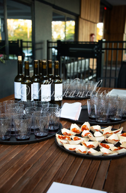 WHS Crawl _DCS7517.jpg