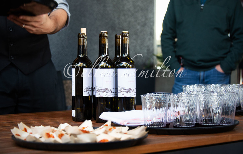 WHS Crawl _DCS7543.jpg