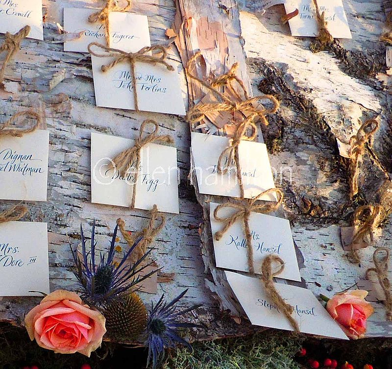 Wedding Guests.jpg ::           