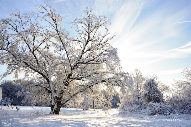 Horn Pond__DSC5903.jpg