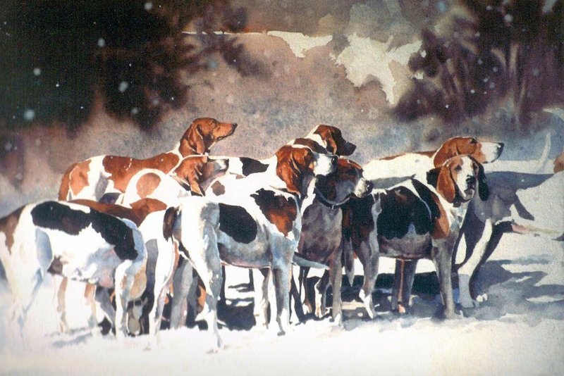 ptgBrandywine hounds2.jpg :: ' BRANDYWINE HOUNDS \