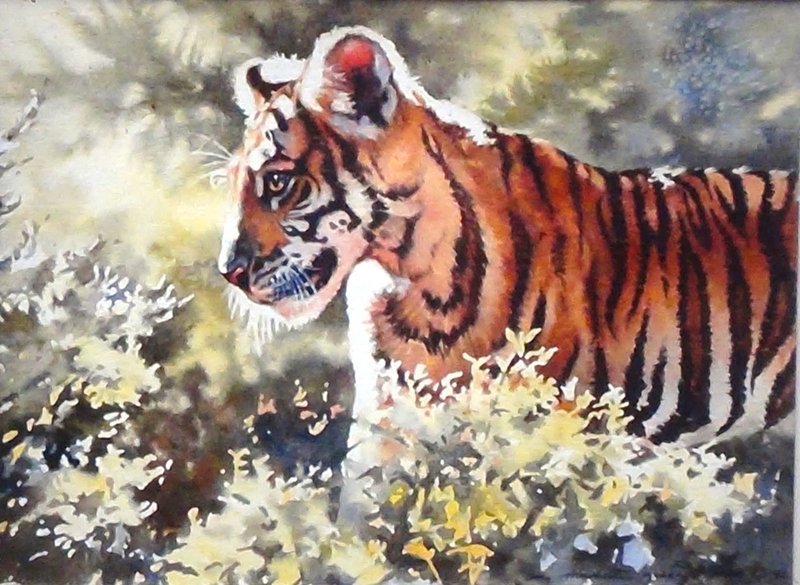 RfTigerCub.jpg ::    \