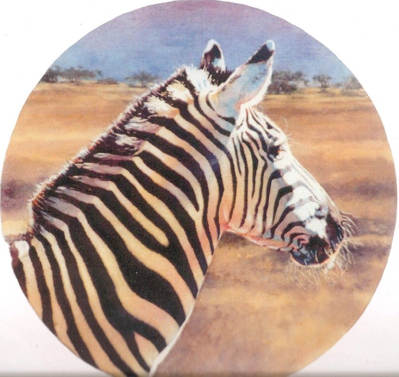 Zebra.jpg