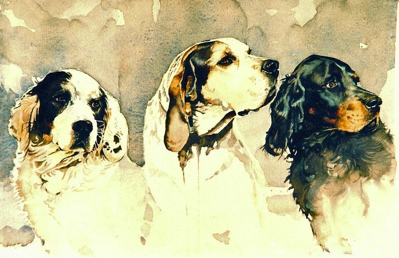 pa dogs.jpg