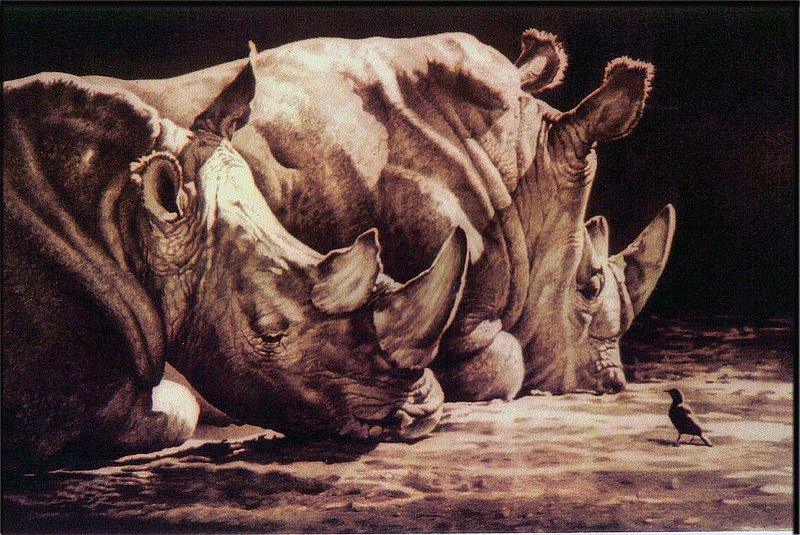 ptgSleeping Beauties2.jpg :: SLEEPING BEAUTIES ..... pencil drawing.....  Leigh Yawkey Woodson Art Museum,  Wildlife in Art Show