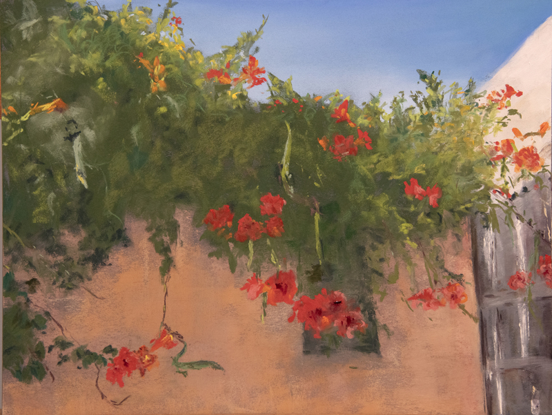 62 Trumpet Vine.jpg