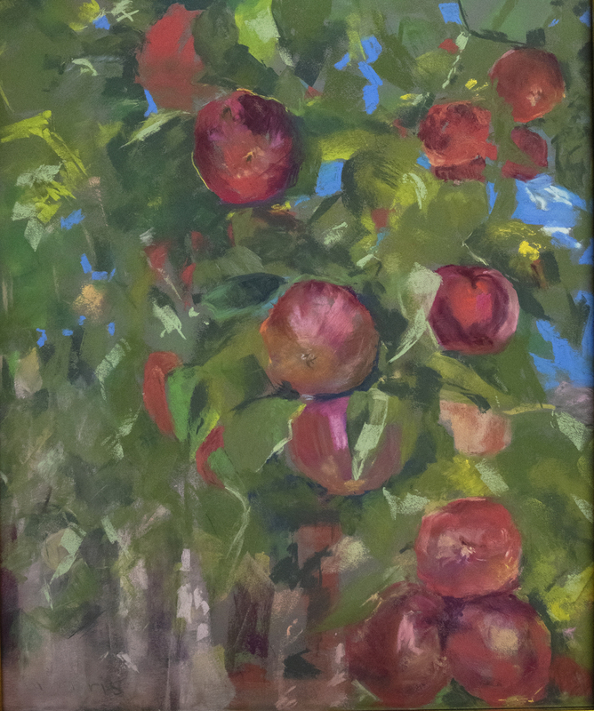 64 Santa Fe Apples(1).jpg
