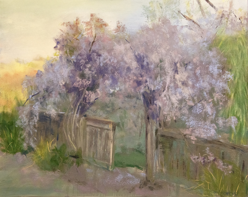65 Wisteria 20x16.jpg :: Wisteria