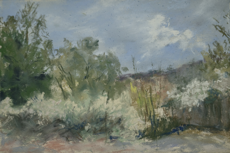 74 Early Spring copy.jpg :: Early Spring