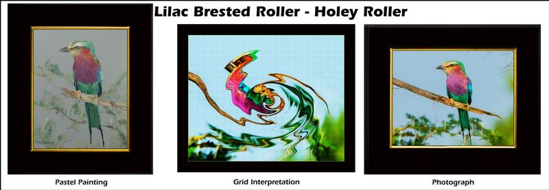 89 Lilac Breasted Roller - Holy Roller Triptych Web.jpg