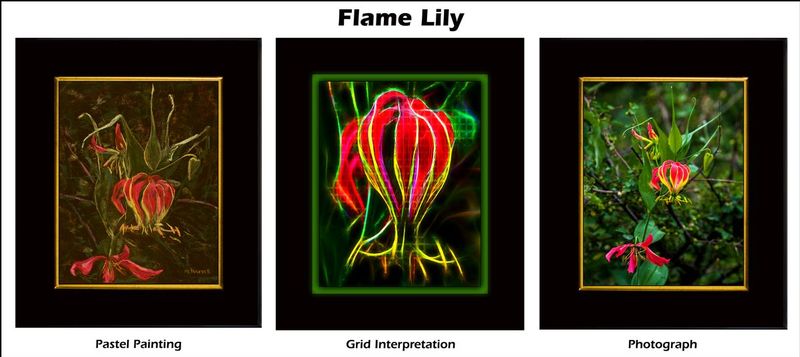 Flame Lily Triptych Web.jpg