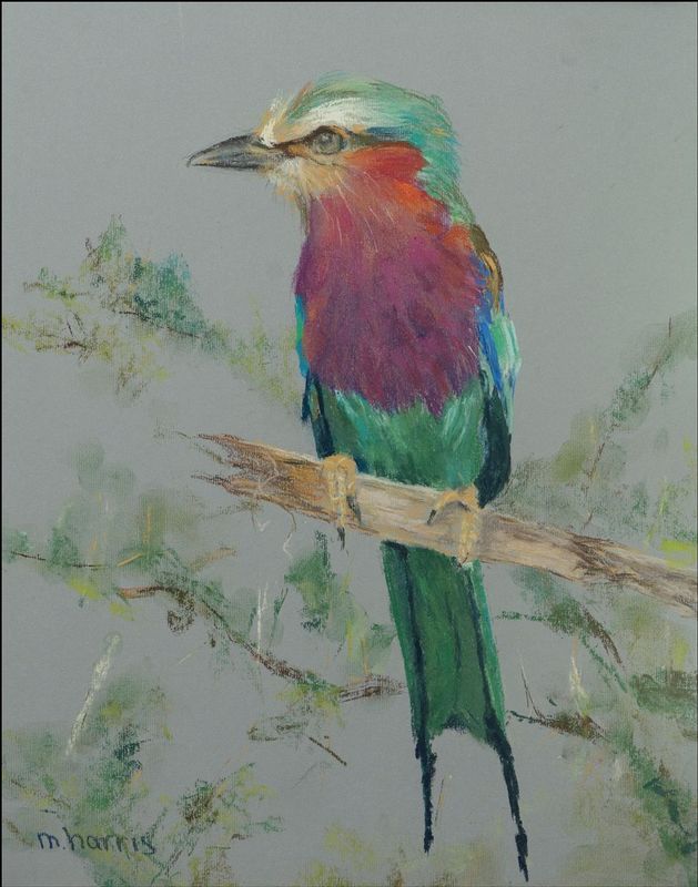 Lilac Breasted Roler Pastel Web.jpg :: Lilac Breasted Roller