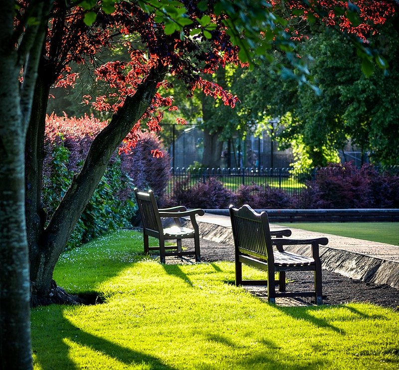 DSC_0574.jpg :: Victoria Park, Cardiff