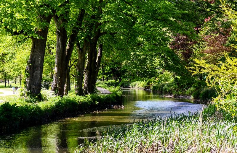 DSC_1110_18x12.jpg :: Castle Grounds Lake, Cardiff