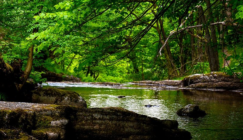 DSC_1634a1.jpg :: Brecon Beacons