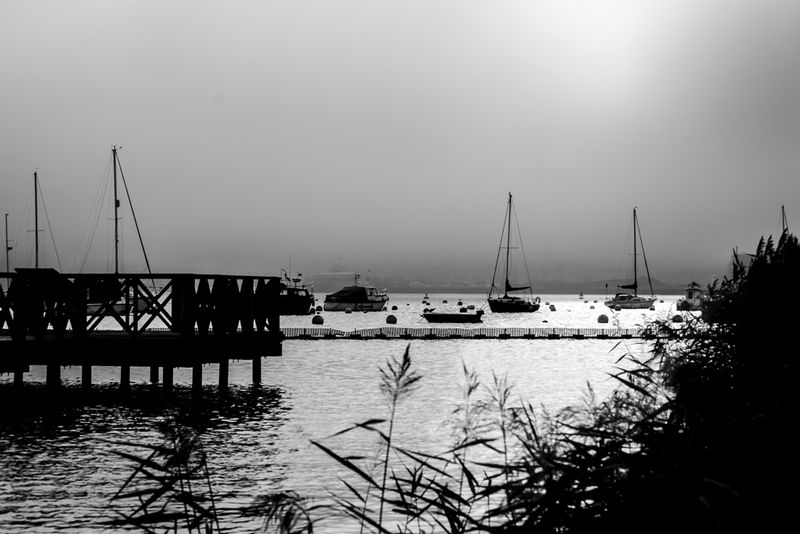 DSC_4615_18x121.jpg :: Cardiff Yacht Club
