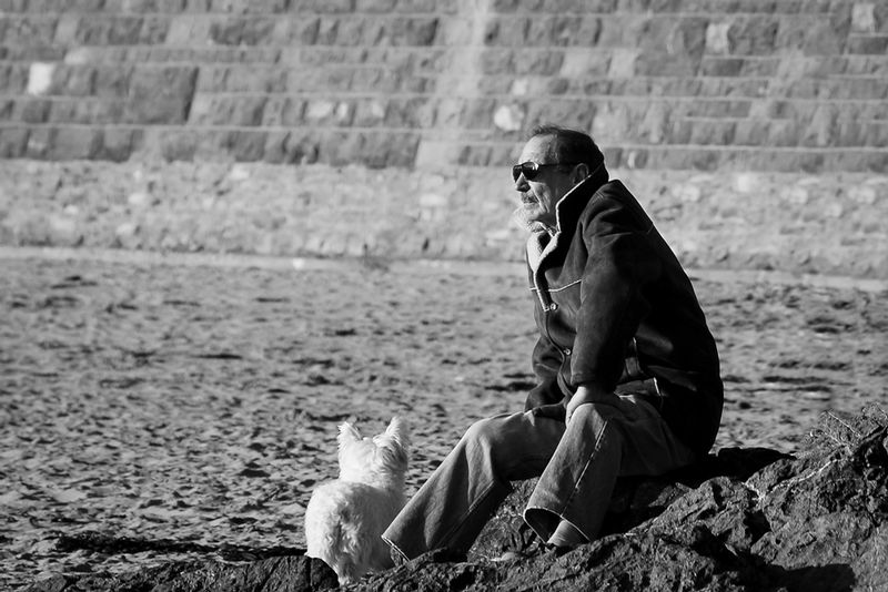 DSC_5154.jpg :: One Man and His Dog