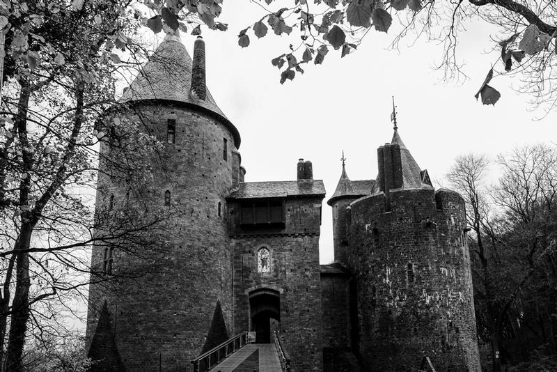 DSC_5350_24x161.jpg :: Castle Coch, Caerphilly