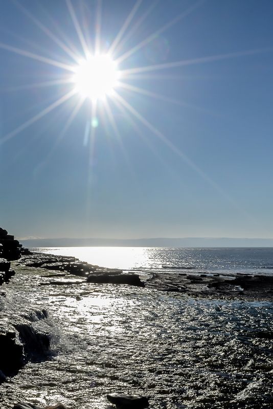DSC_5945_18x121.jpg :: Sun Star, Monknash Beach