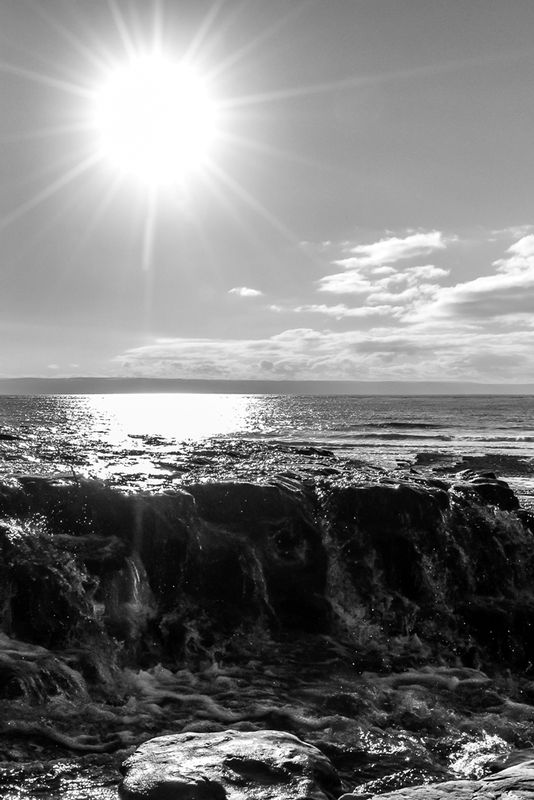 DSC_6018_18x121.jpg :: B&W Sun Star
