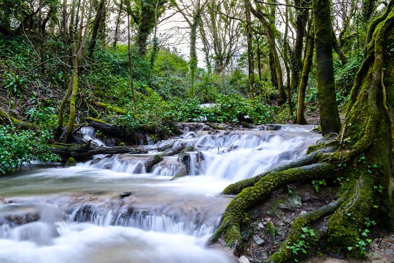 DSC_6205_24x16.jpg :: Waterfall Trail, South Wales